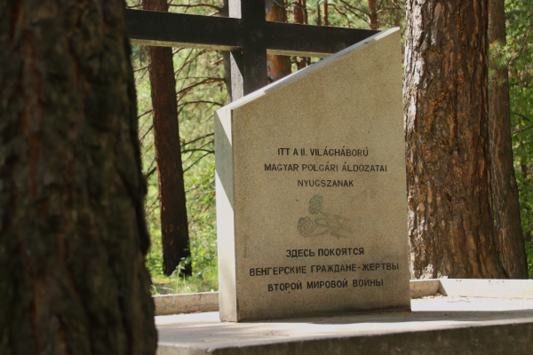 Склепы с&nbsp;сокровищами и&nbsp;Боря Газировка: что хранят кладбища Новосибирска