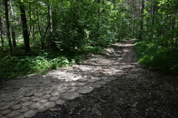 Заельцовский парк открыли для новосибирцев после реконструкции