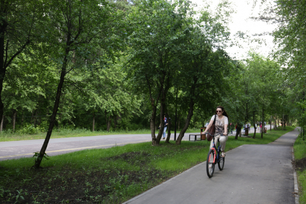 Заельцовский парк открыли для новосибирцев после реконструкции