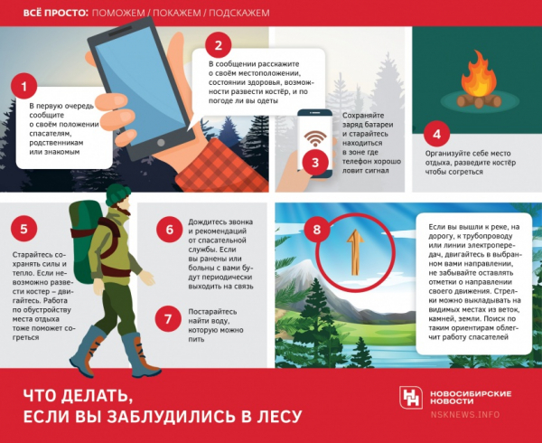 Лес попутал: что делать, если заблудился
