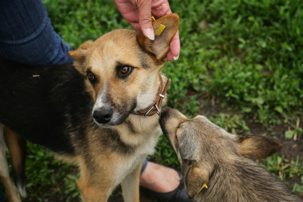 Афиша выходных: День ВМФ, авиашоу и&nbsp;парусная регата
