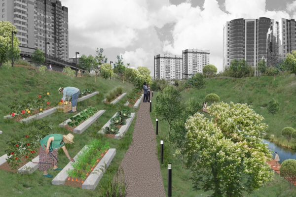 В&nbsp;парке на&nbsp;берегах Ельцовки предлагают разбить сад-огород, как в&nbsp;Англии