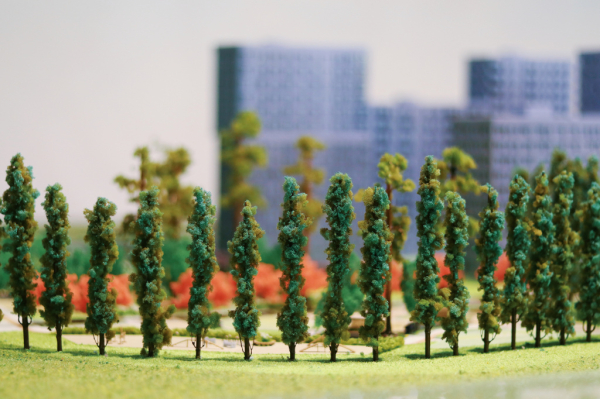 Главное&nbsp;&mdash; не&nbsp;чихать: как в&nbsp;Новосибирске делают домики и&nbsp;районы в&nbsp;миниатюре