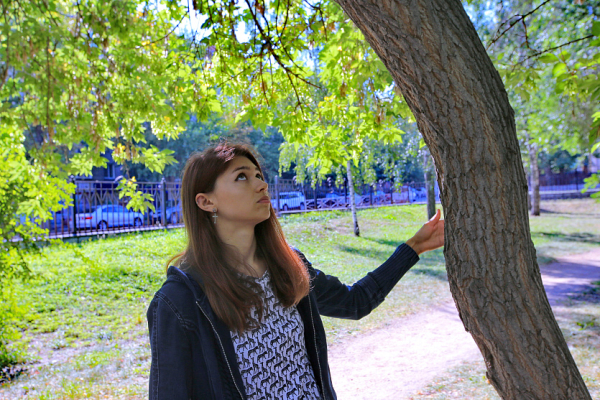 Голубые ели, как на&nbsp;Красной площади, спасут в&nbsp;Нарымском сквере