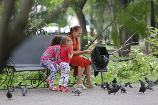 15&nbsp;детдомовцев из&nbsp;Новосибирска нашли опекунов после каникул в&nbsp;семьях