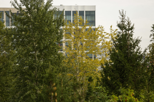 Осенний рынок жилья в&nbsp;Новосибирске: цены падают, объём предложения растёт