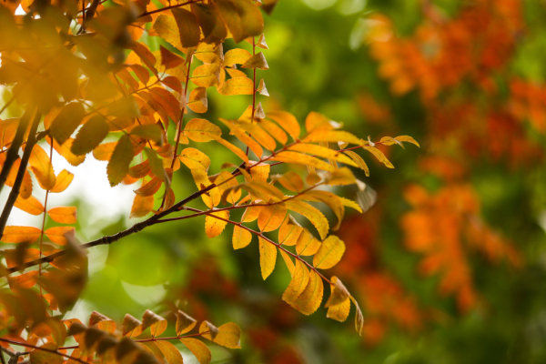 Афиша выходных: шаффлборд, суперкары и&nbsp;концерт группы PIZZA