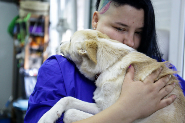 «Биму переехала бетономешалка»: репортаж из больницы для бездомных собак «Биму переехала бетономешалка»: репортаж из больницы для бездомных собак