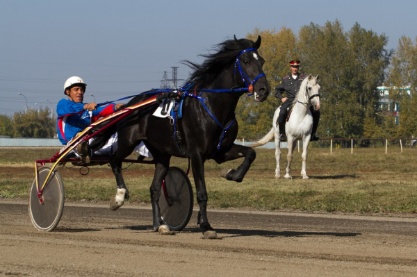 Афиша выходных: скачки на&nbsp;рысаках, экскурсия по&nbsp;башням и&nbsp;шоу байкеров