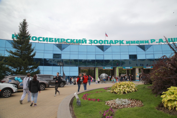 Декада пожилых в&nbsp;Новосибирске: куда сводить своих родителей