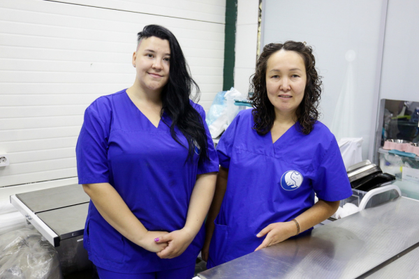 «Биму переехала бетономешалка»: репортаж из больницы для бездомных собак «Биму переехала бетономешалка»: репортаж из больницы для бездомных собак