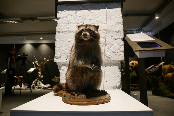 Афиша выходных: шаффлборд, суперкары и&nbsp;концерт группы PIZZA