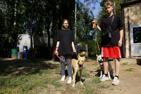 «Биму переехала бетономешалка»: репортаж из больницы для бездомных собак «Биму переехала бетономешалка»: репортаж из больницы для бездомных собак