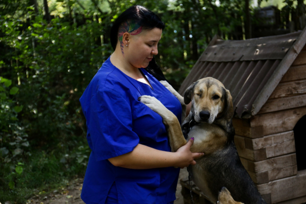 «Биму переехала бетономешалка»: репортаж из больницы для бездомных собак «Биму переехала бетономешалка»: репортаж из больницы для бездомных собак