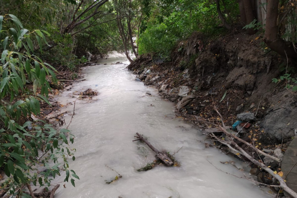В&nbsp;Новосибирске Плющиха превратилась в&nbsp;молочную речку, но&nbsp;не&nbsp;из&nbsp;сказки
