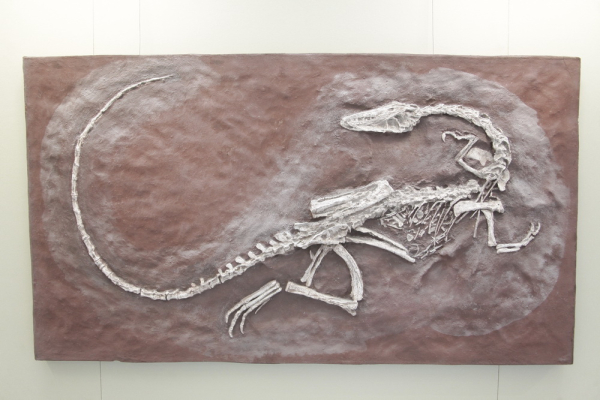 Афиша выходных: прогулка по&nbsp;дну моря, концерт кайчи и&nbsp;Beet Weekend в&nbsp;кино