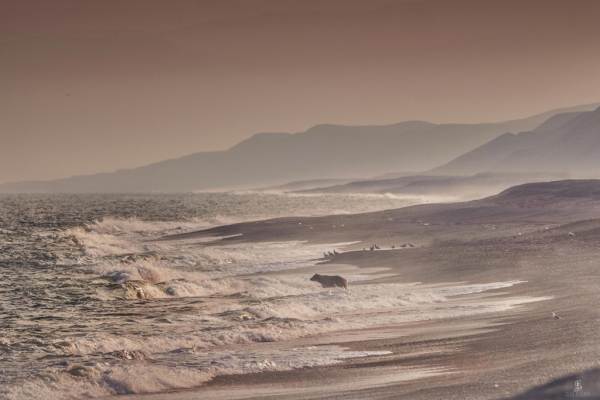 Лучшие фотографы Новосибирска: Олег Кугаев Лучшие фотографы Новосибирска: Олег Кугаев