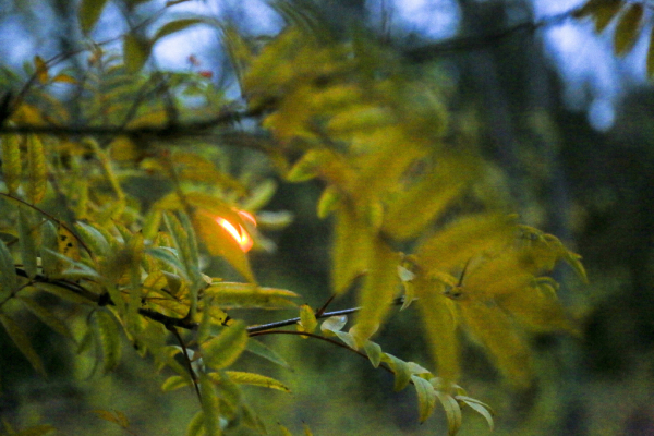 Афиша выходных: День единства, Ночь искусств и&nbsp;лекция про осень