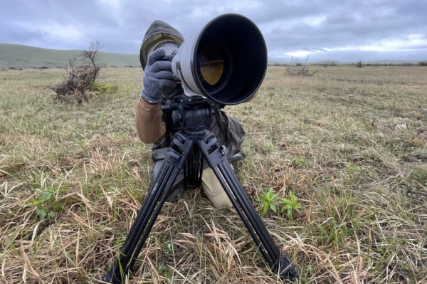 Лучшие фотографы Новосибирска: Олег Кугаев Лучшие фотографы Новосибирска: Олег Кугаев