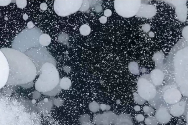 В&nbsp;промёрзшем до&nbsp;дна Обском море застыли загадочные пузыри