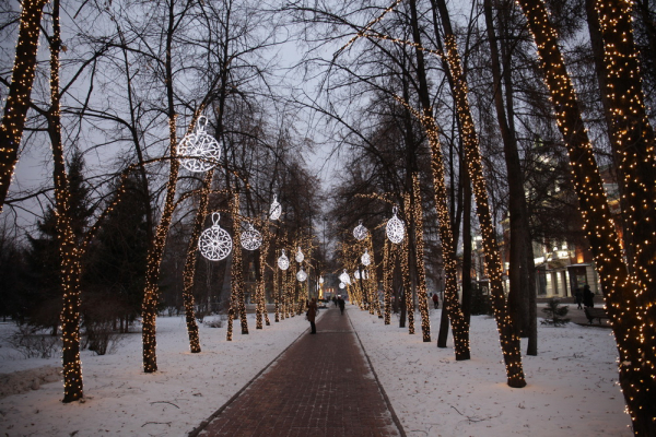 Афиша выходных: сани с&nbsp;оленями, вечер с&nbsp;актрисой и&nbsp;мумия с&nbsp;татуировкой