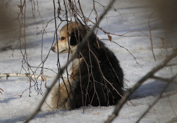 &laquo;Мэр отвечает&raquo; круглый год: все выпуски на&nbsp;&laquo;Городской волне&raquo; в&nbsp;2022-м