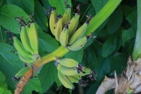 Сделано в Новосибирске: 12 репортажей о людях, которые меняют мир Сделано в Новосибирске: 12 репортажей о людях, которые меняют мир