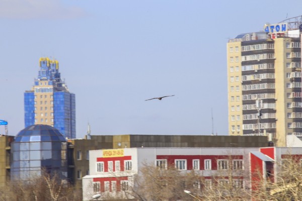 Афиша выходных: белорусская ярмарка, закат с&nbsp;башни и&nbsp;&laquo;Ахтунг, Покрышкин!&raquo;