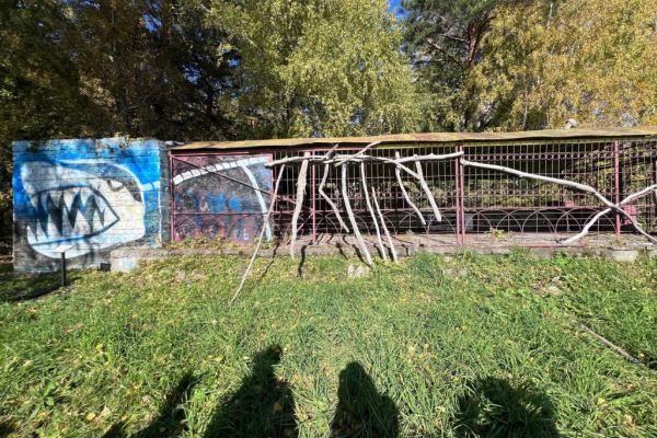 Древнюю акулу и&nbsp;ходячие грибы заприметили на&nbsp;ОбьГЭС